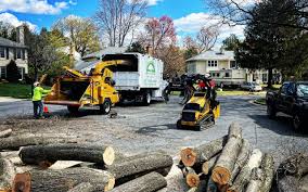 Best Arborist Consultation Services  in Eudora, AR